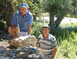 Working on the dry stone wall. 