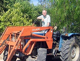 Clearing the scrubland in readiness for the orange grove I plan to grow. 
