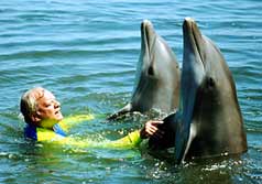 David Jason with Dolphins